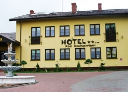 Hotel & Restauracja Modrzewiowa